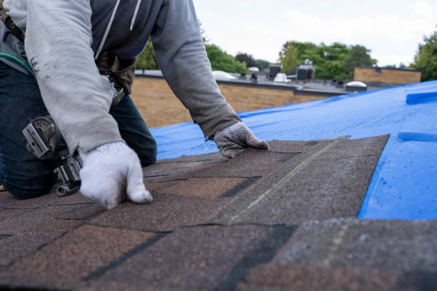 Professional Roofing Contractor in Nashwauk, MN