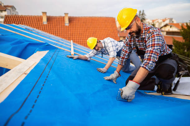 Best Roof Repair Services  in Nashwauk, MN