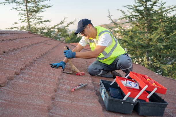 Best Roof Replacement Cost  in Nashwauk, MN