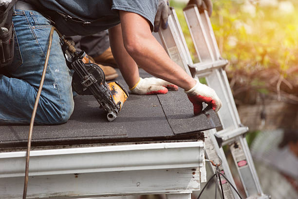 Best Roof Leak Repair  in Nashwauk, MN