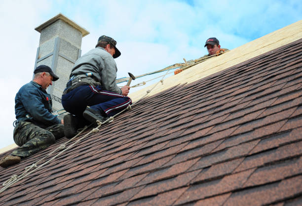 Best Shingle Roofing Installation  in Nashwauk, MN